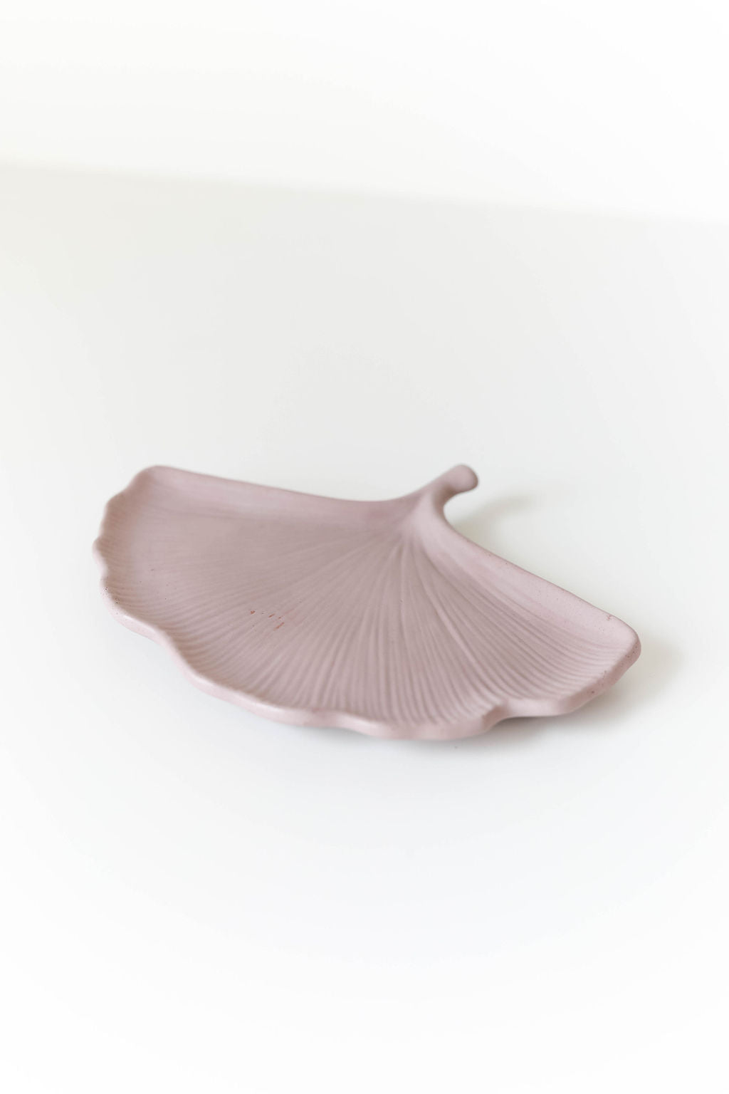 Ginkgo Leaf Tray