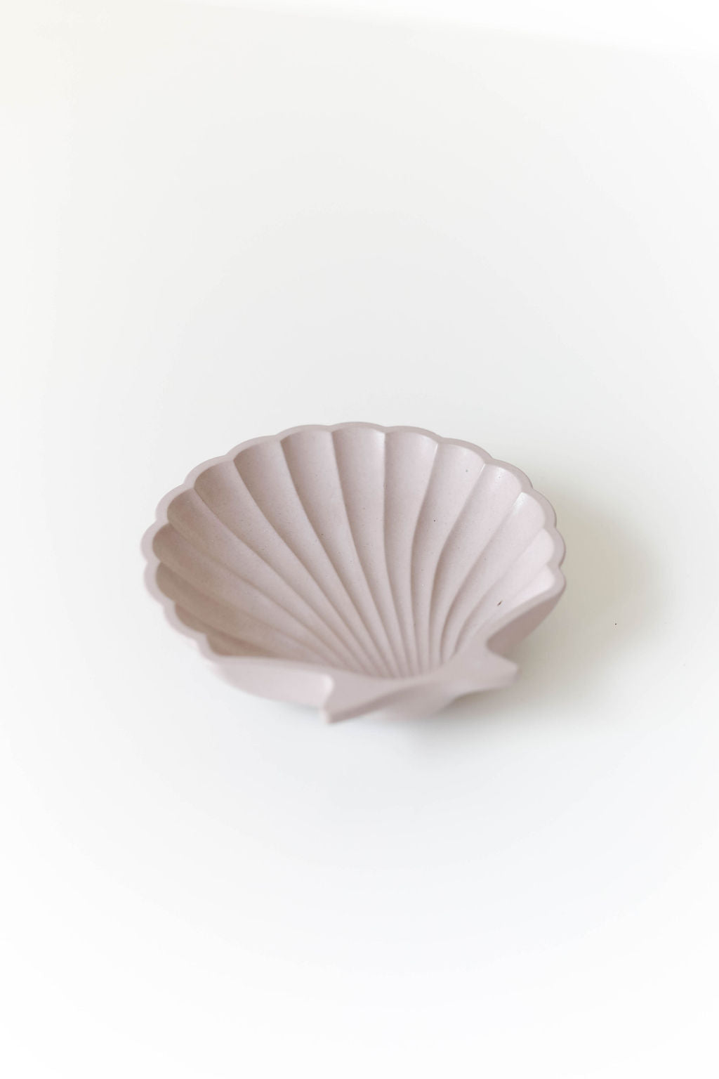 Small Seashell