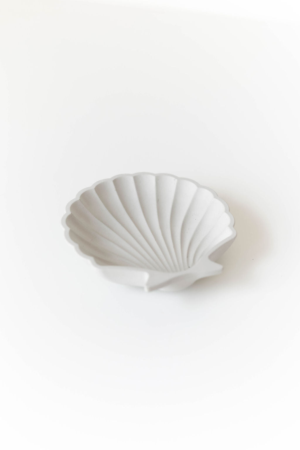 Small Seashell