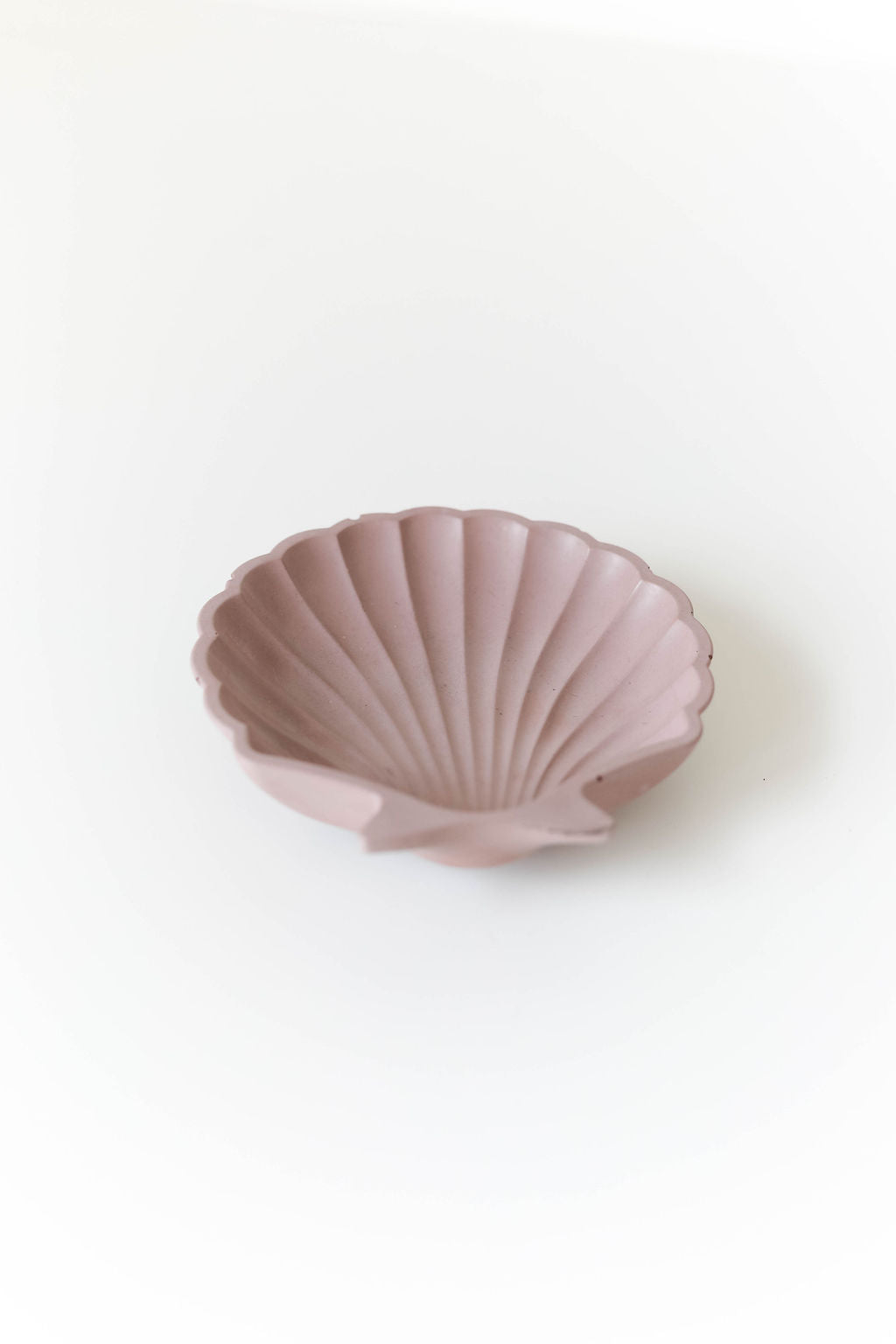 Small Seashell