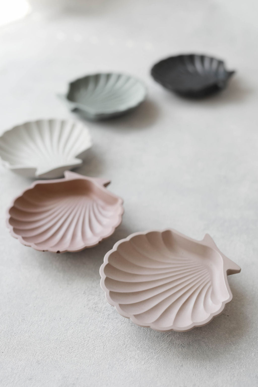 Small Seashell