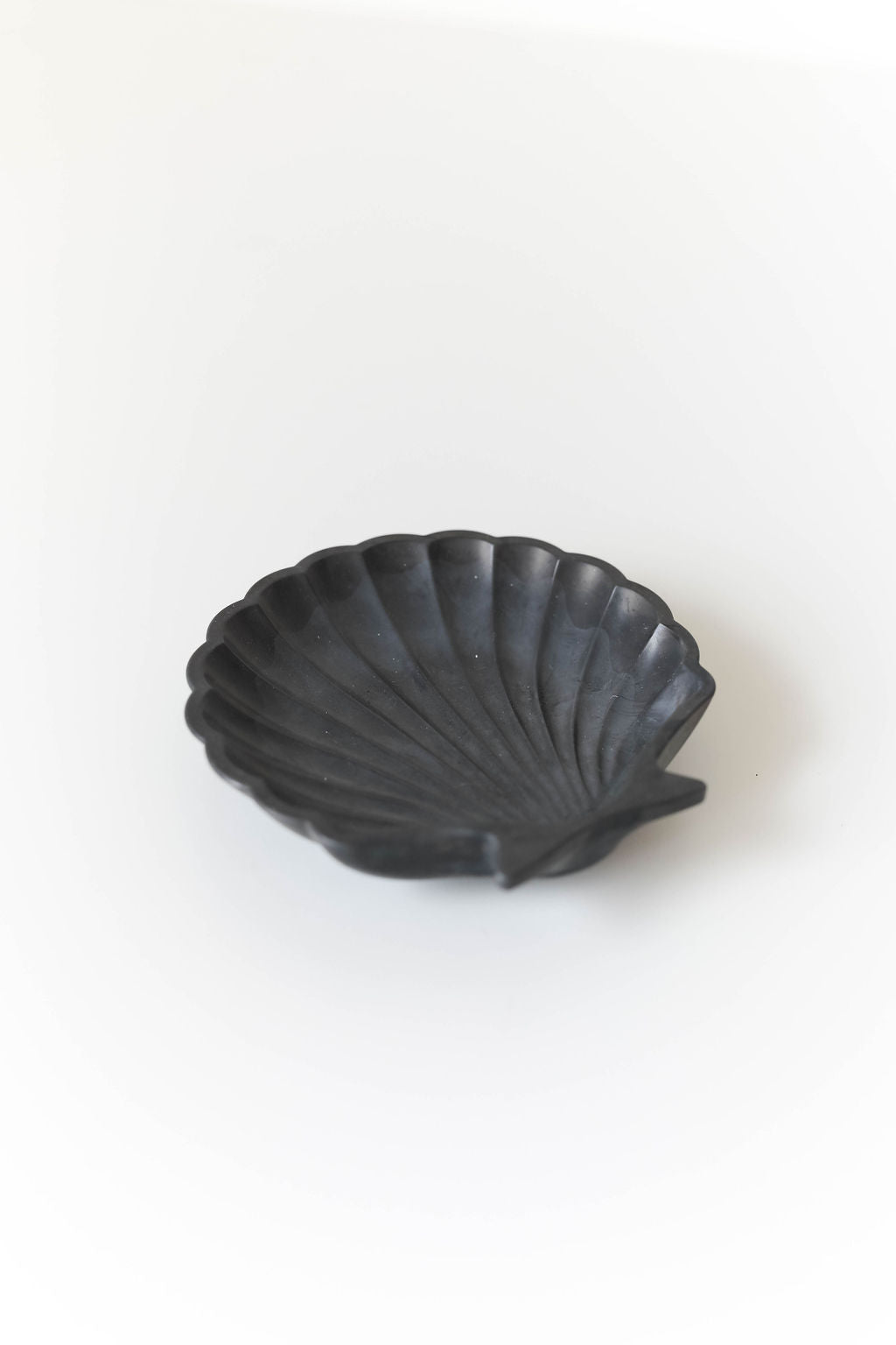 Small Seashell