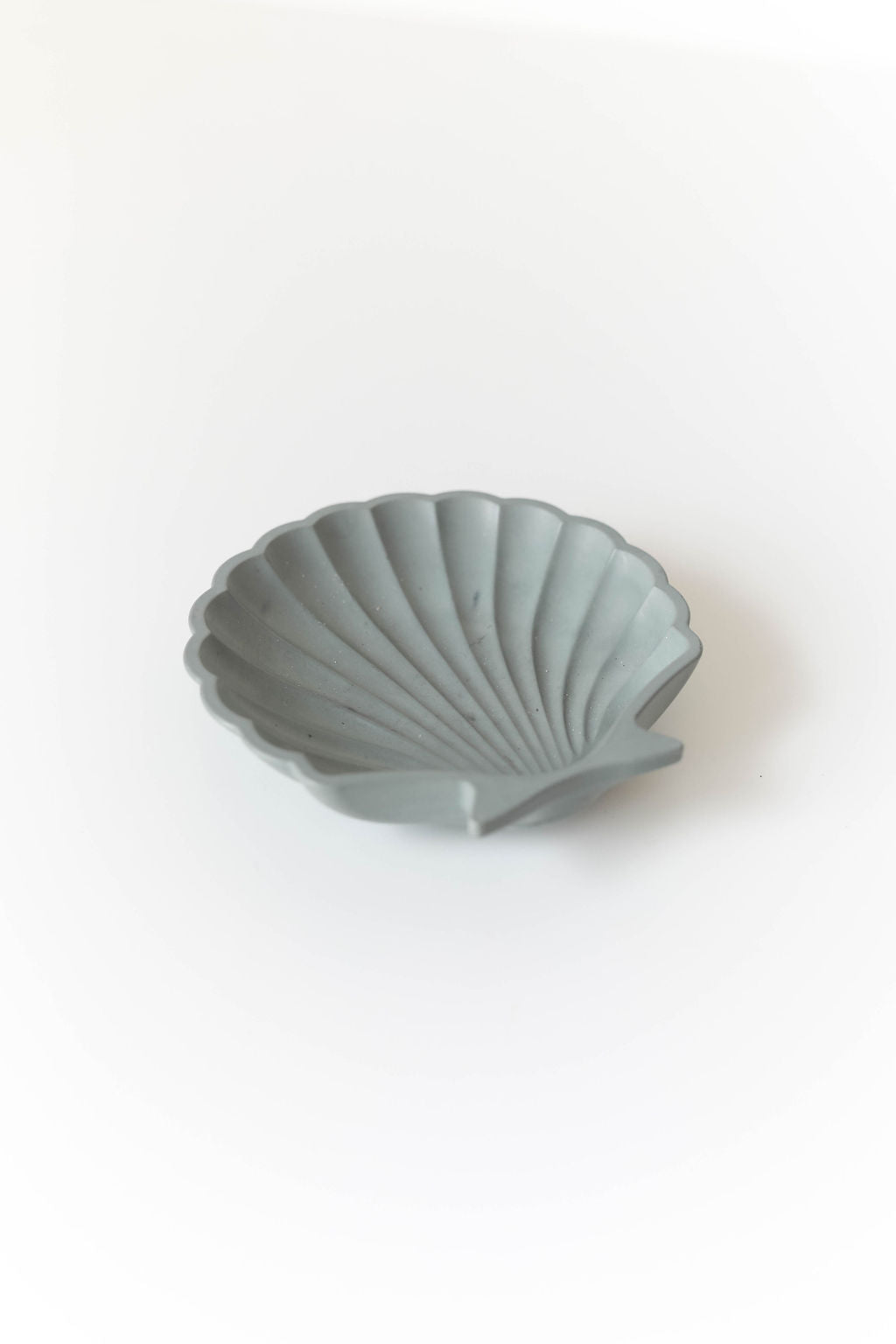Small Seashell